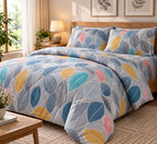 Aangan 4 Piece Comforter Sets